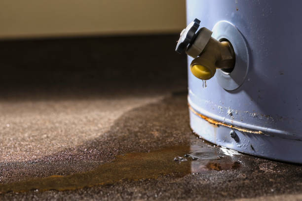 Best Mold removal after water damage  in Waxahachie, TX