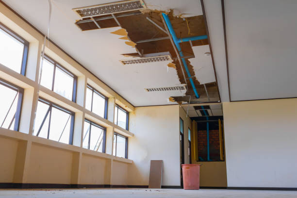 Best Water damage restoration process  in Waxahachie, TX