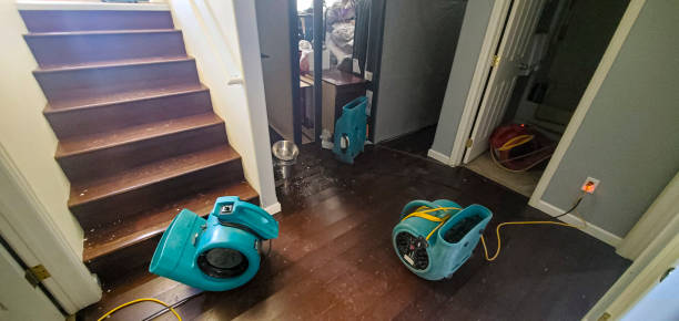 Best Ceiling water damage repair  in Waxahachie, TX