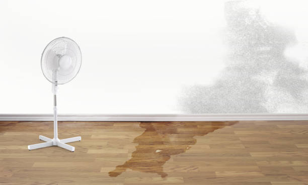 Best 24/7 water damage repair  in Waxahachie, TX