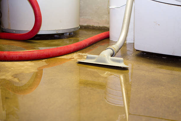 Best Water damage contractors near me  in Waxahachie, TX